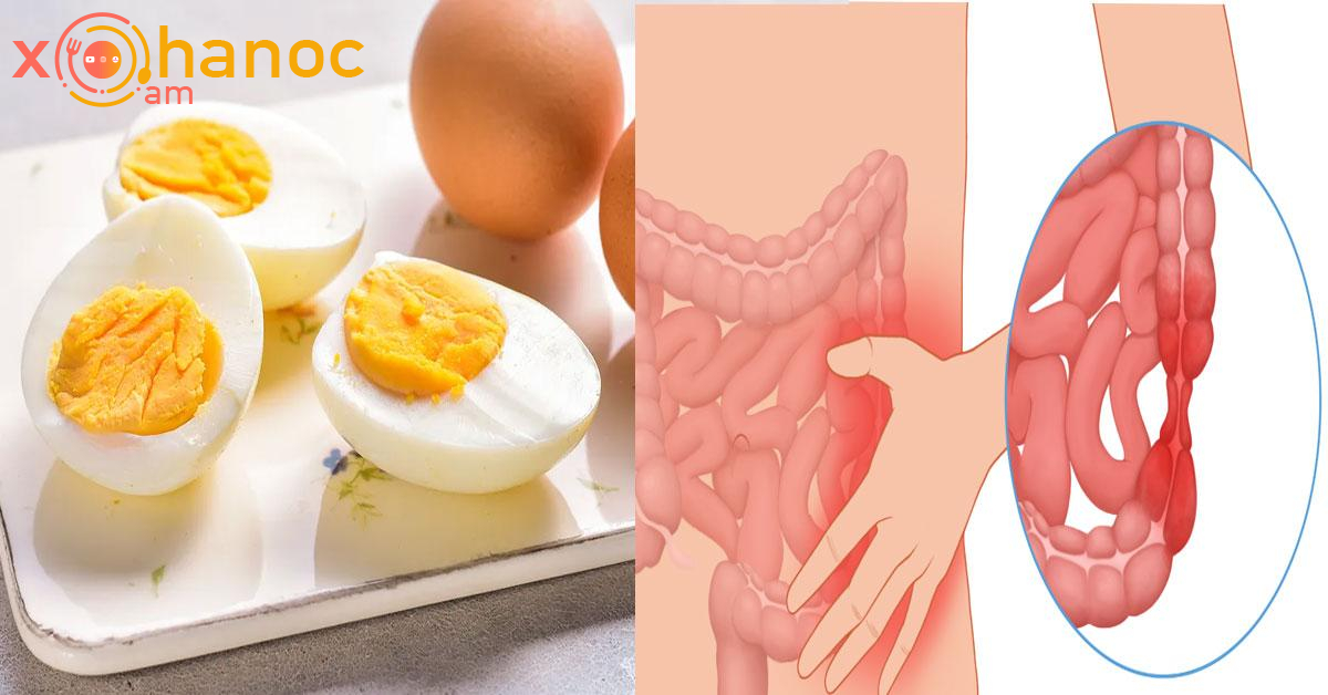 Տեսեք ինչ է կատարվում ձեր աղիների հետ, երբ 2-ից ավել խաշած ձու եք ուտում