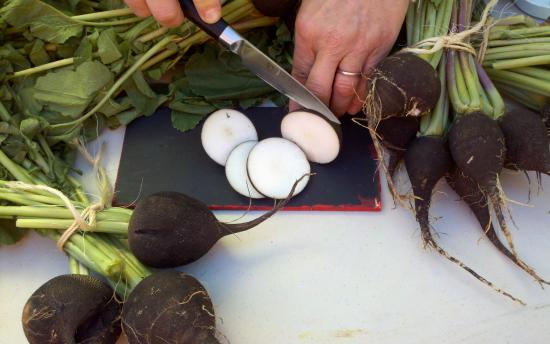 Բողկը կարող է տրոհել լեղապարկի քարերը