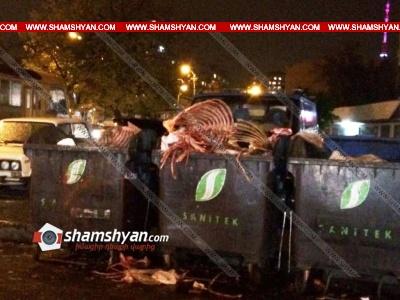 Սա իսկական սարսափ ֆիլմ է, Երևանի կենտրոնում