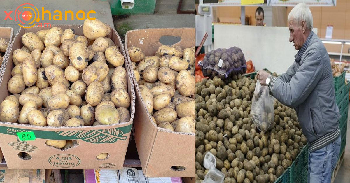 Կարտոֆիլի գինը կտրուկ փոխվել է․ Տեսեք այս պահին ինչ արժե 1 կգ կարտոֆիլը