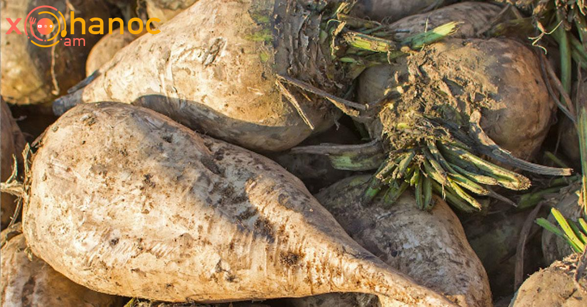 Այս բանջարեղենը հեռացրել է ճարպը լյարդից և ամբողջությամբ մաքրել հաստ աղիքս