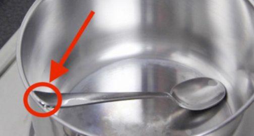 Աղջիկը պարզապես գդալը դրեց կաթսայի մեջ. ՍԱ իսկական փրկություն է յուրաքանչյուր տնտեսուհու համար