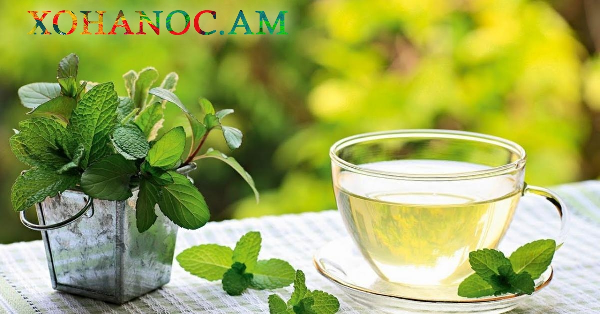 Ահա թէ ինչպես է պետք օգտագործել անանուխով թեյը, որպեզի ազատվել ավելորդ քաշից