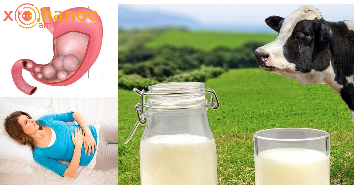 Եթե կաթ խմելուց հետո փքվածություն կամ սրտխառնոց եք զգում, անպայման կարդացեք այս մասին