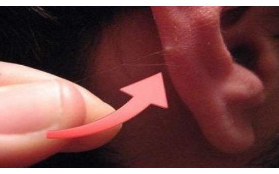 Ահա, թե ինչ սարսափելի վտանգի մասին են նախազգուշացնում ականջների վրա աճող մազերը