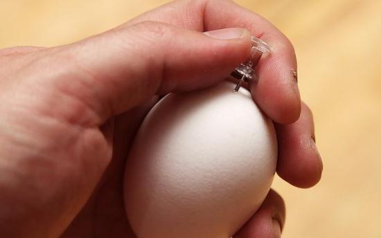 Աղջիկը վերցրեց ձուն և ծակեց այն ասեղով. պատճառն իմանալով՝ Դուք էլ այսուհետ այսպես կանեք