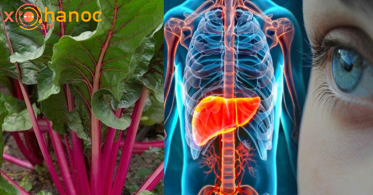 Այս բանջարեղենը բարելավել է իմ տեսողությունը, բուժել իմ լյարդը և մաքրել իմ աղիքները