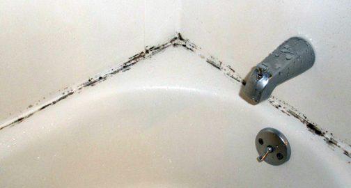 Վաննայի վրայի բորբոսից ազատվելու ամենաարդյունավետ միջոցը