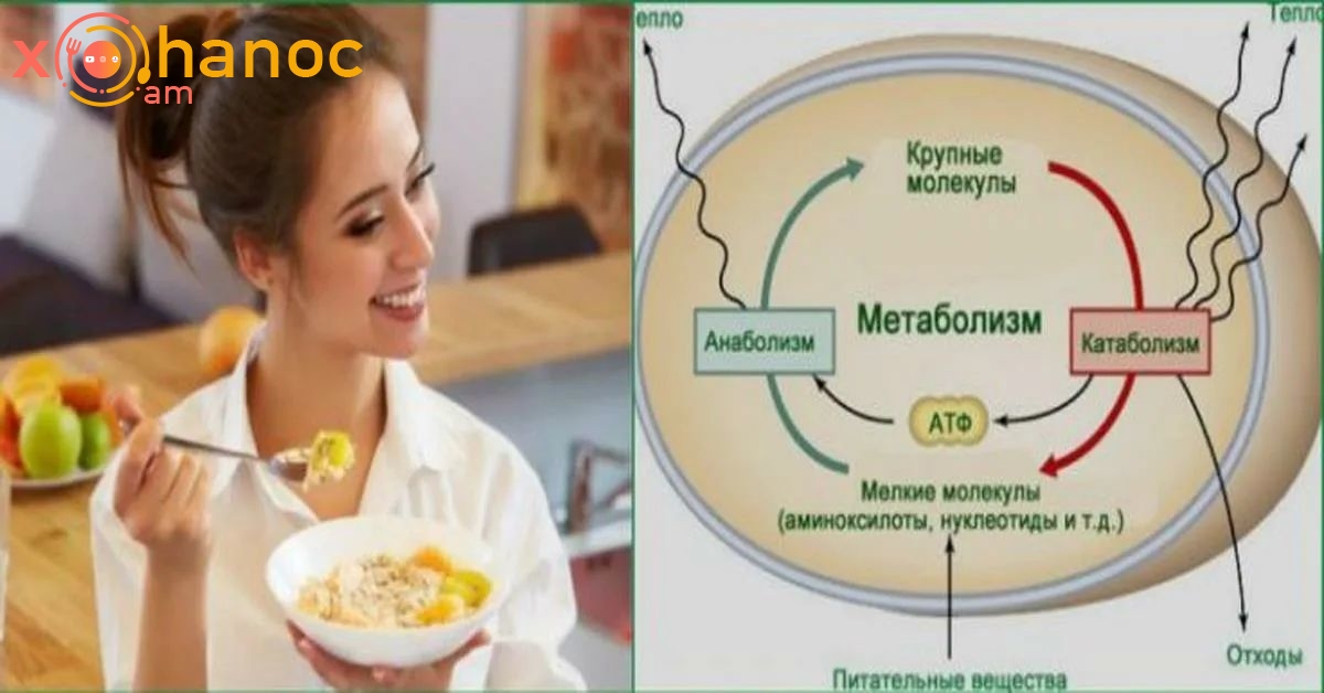 Նախաճաշի 5 սուպերմթերք, որոնք բարելավում են ձեր նյութափոխանակությունը. Սկսե՛ք ձեր օրը ճիշտ