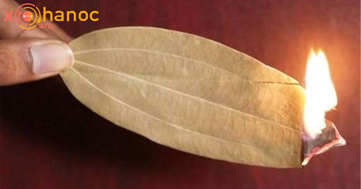 Դափնու տերև վառեք և տեսեք ինչ հրաշալի բան տեղի կունենա