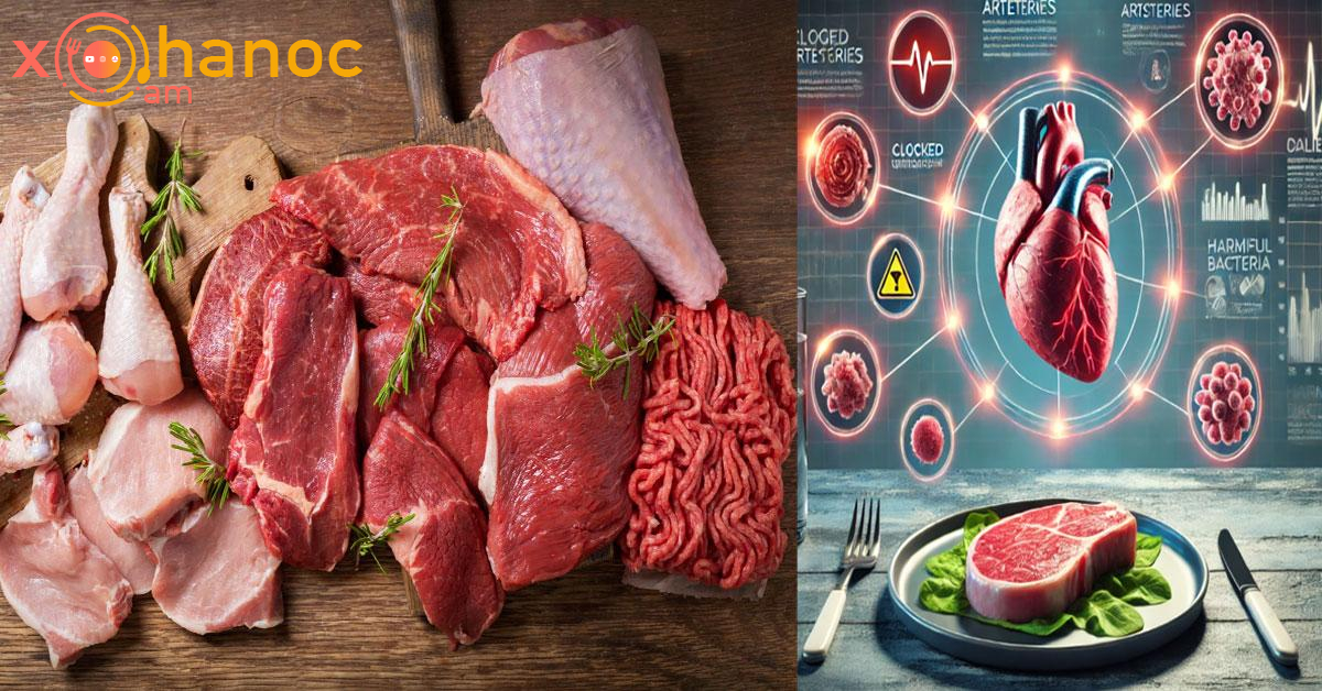 Տեսեք իրականում ի՞նչ կլինի, եթե ուտեք միայն միս