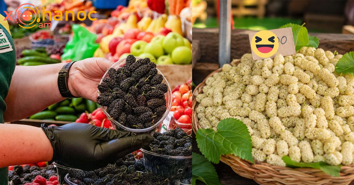 Ի՞նչ արժե 1 կգ թութը այս պահի դրությամբ