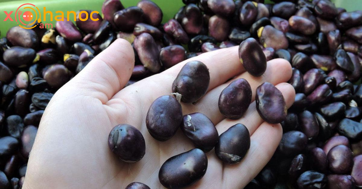 Սրտի համար օգտակար լավագույն 4 մթերքները