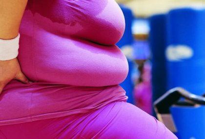 Հայտնի է ճարպակալման ևս մեկ պատճառ