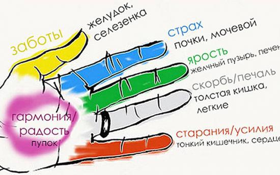 Մատներից յուրաքանչյուրը կապված է երկու օրգանի հետ. փորձեք այս ճապոնական մեթոդը, որը կխլի ընդամենը 5 րոպե