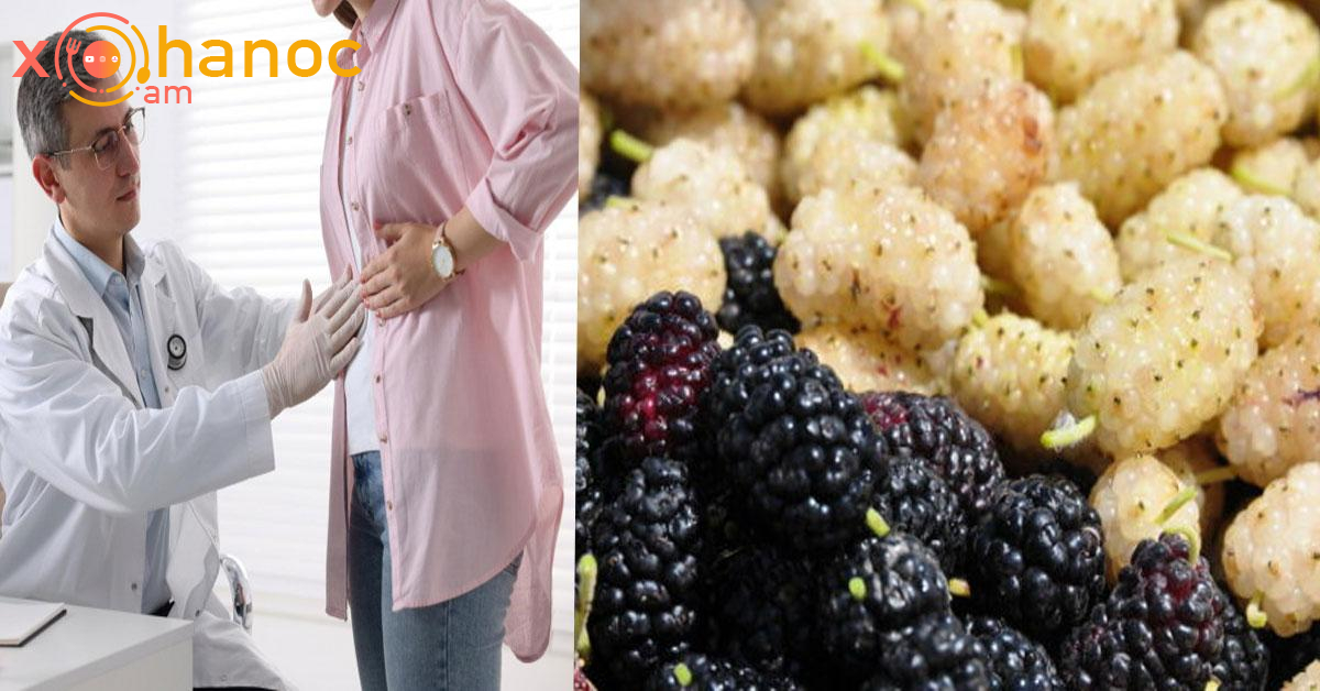 Թութի հակացուցումները․ 3 վտանգ, որոնց մասին քչերը գիտեն Թութի հակացուցումները․ 3 վտանգ, որոնց մասին քչերը գիտեն
