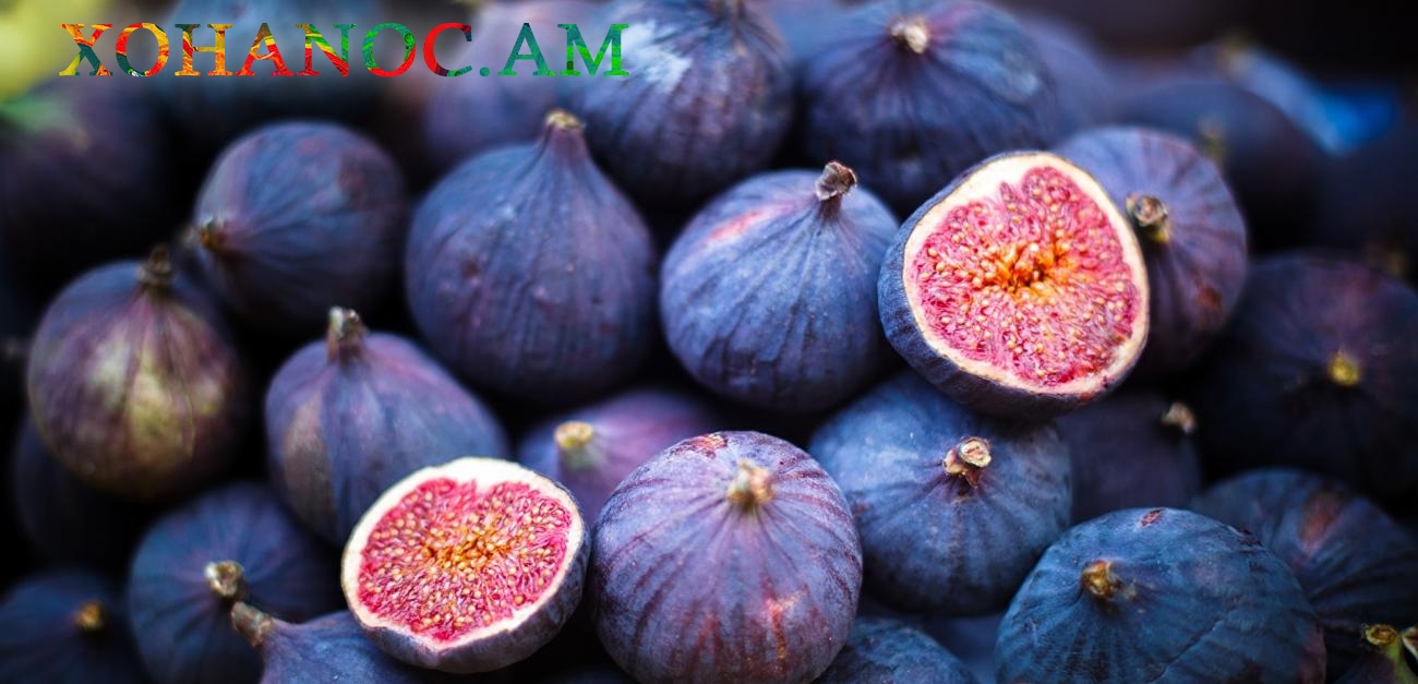 Թուզը անվանում են հրաշք պտուղ, որովհետև այն բուժում է ոսկորները, երիկամները, մաշկը, նիահելու հիանալի միջոց է, վերացնում է բերանի տհաճ հոտը
