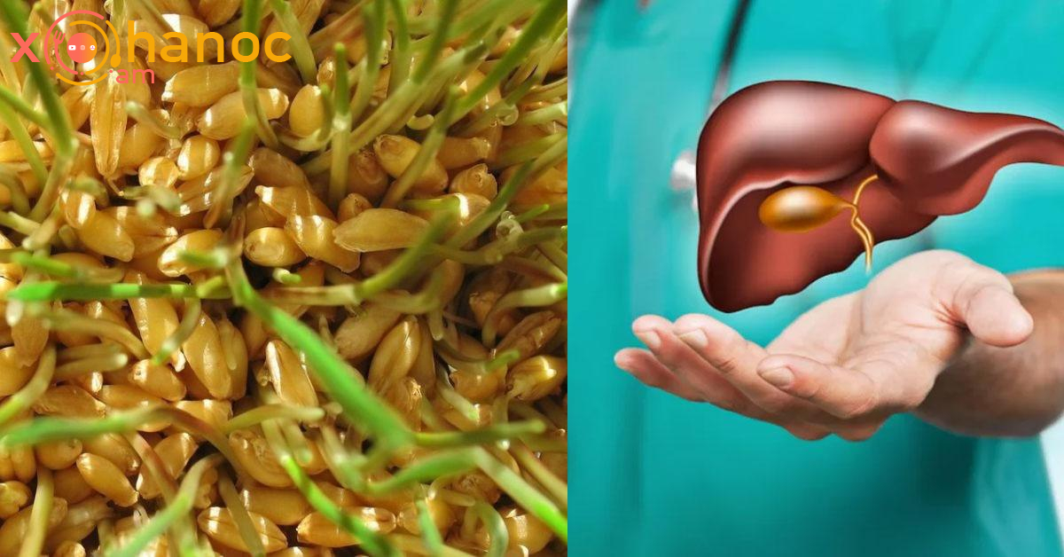 Լյարդս ահավոր վատ վիճակում էր․ Այս միջոցը բուժեց այն և ոտքի կանգնեցրեց ինձ