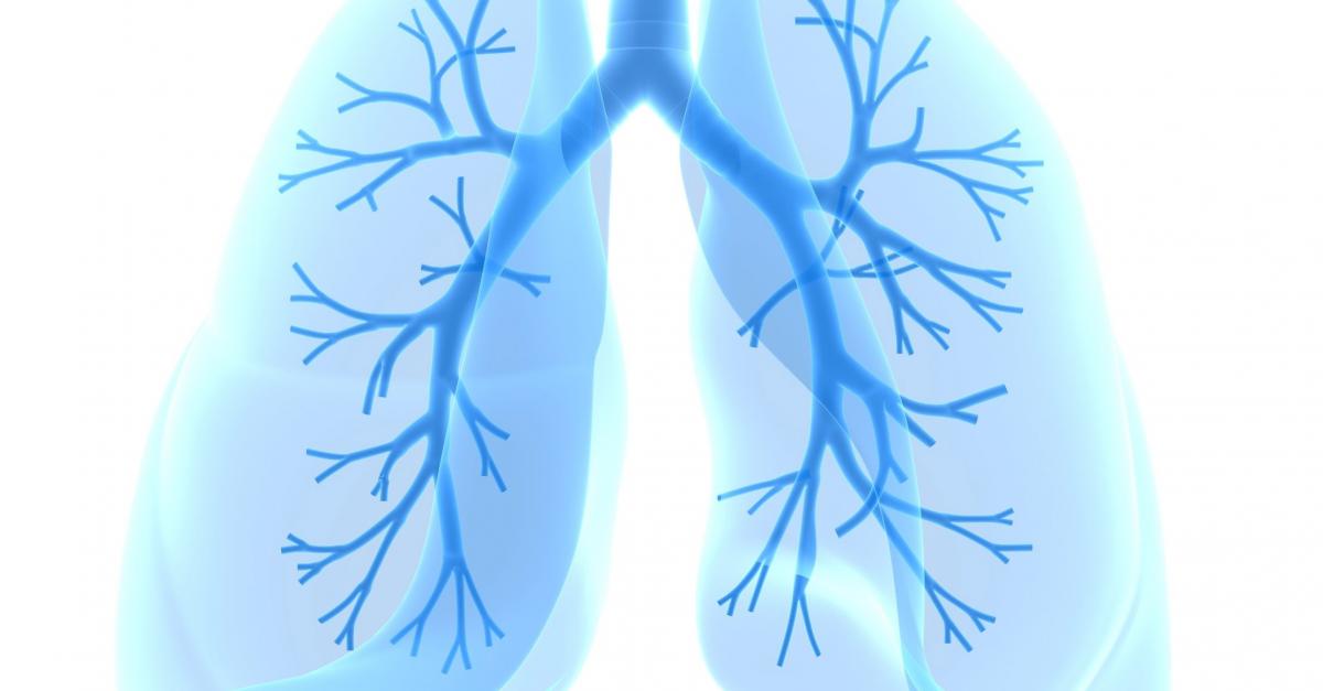 Ինչպես թոքերը մաքրել ծխից