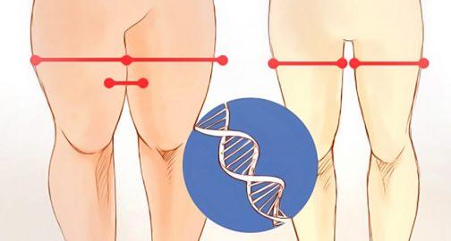 Ինչպե՞ս բարակեցնել ազդրերը 1 սանտիմետրով՝ 1 շաբաթում