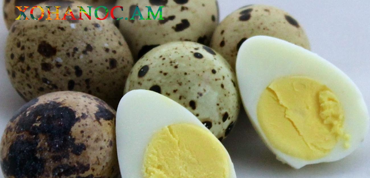 Լորի ձուն բուժում է դիաթեզը, ոսկորները, նյարդային համակարգը, օգտակար է քաղցքկեղային հիվանդությունների դեմ