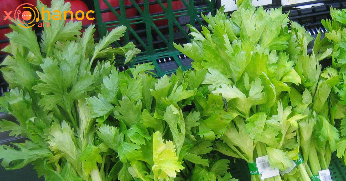 Այս բույսը օգտակար է գաստրիտի, ալերգիայի, բորբոքումների և շաքարային դիաբետի ժամանակ