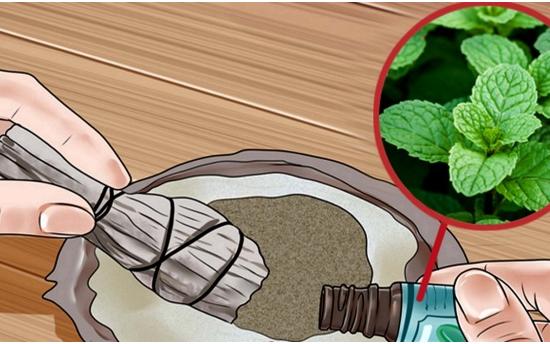 Անանուխը՝ շաքարի կախվածության դեմ