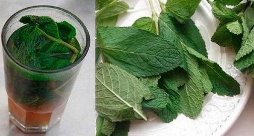 Ինչպես բուժել լյարդը տան պայմաններում. 100%-անոց արդյունք 