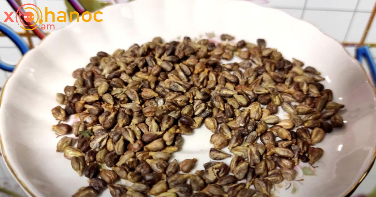 Սրա մասին շատ քչերը գիտեն․ Այս սերմերը կարող են բուժել ցանկացած քաղցկեղ Սրա մասին շատ քչերը գիտեն․ Այս սերմերը կարող են բուժել ցանկացած քաղցկեղ