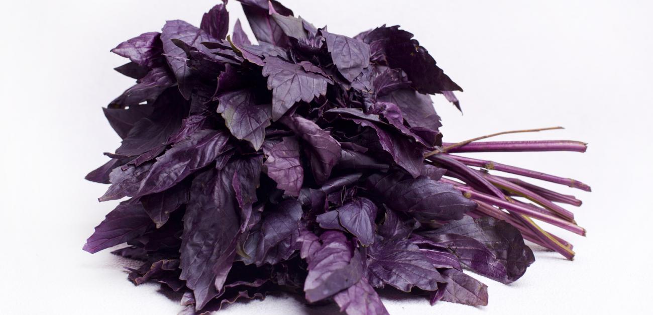 Բացառիկ հատկութհուններ ունի ռեհանը․ նույնիսկ բժիշկներն են զարմացած