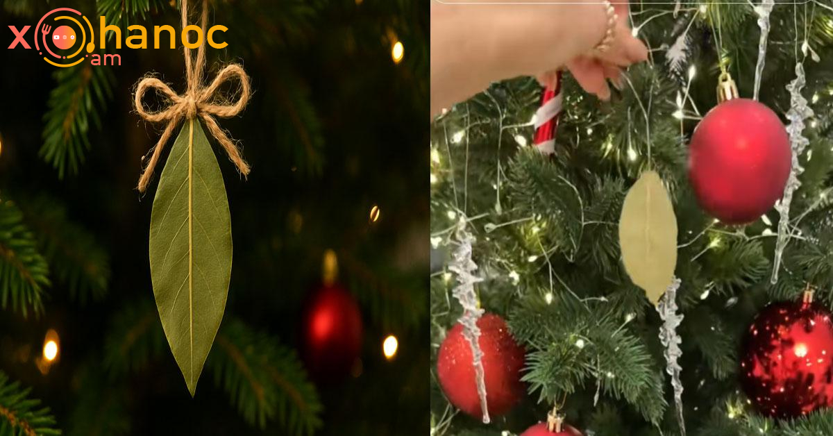 Ինչու պետք է դափնու տերև կախենք մեր տոնախառից․ Այս տարի գրեթե բոլորը այդպես են անում