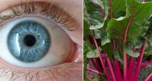 60 տարեկանում այս բույսը լավացրեց տեսողությունս, առողջացրեց լյարդս և մաքրեց աղիներս | EnterTrain