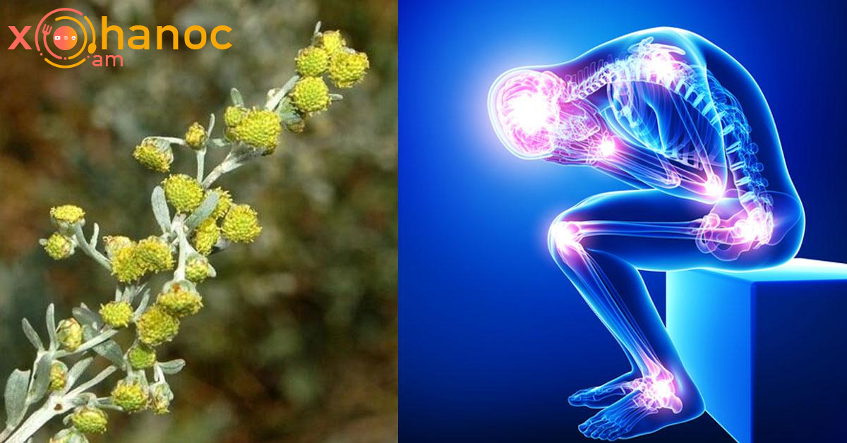 Այս խոտաբույսը կօգնի հոդացավերի ժամանակ