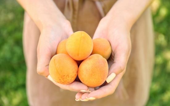 Տեսեք թե ինչ տեղի կունենա , եթե ամեն օր ծիրան ուտեք։ Այս միրգը անփոխարինելի է