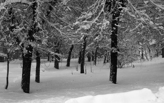 Սպասվում է ձյուն