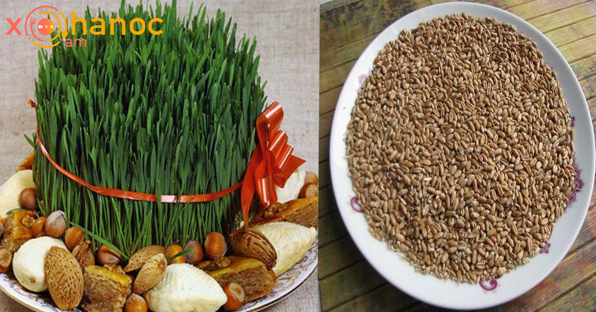 Ինչպես աճեցնել Զատիկի խոտ ընդամենը 3 օրում Ինչպես աճեցնել Զատիկի խոտ ընդամենը 3 օրում