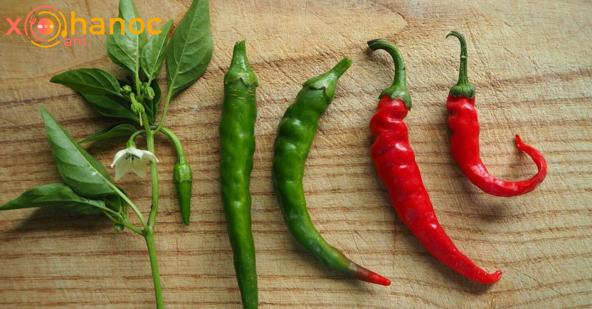 Ինչ օգտակար հատկություն ունի կծու պղպեղը․ Իմացեք այդ մասին և սկսեք օգտագործել