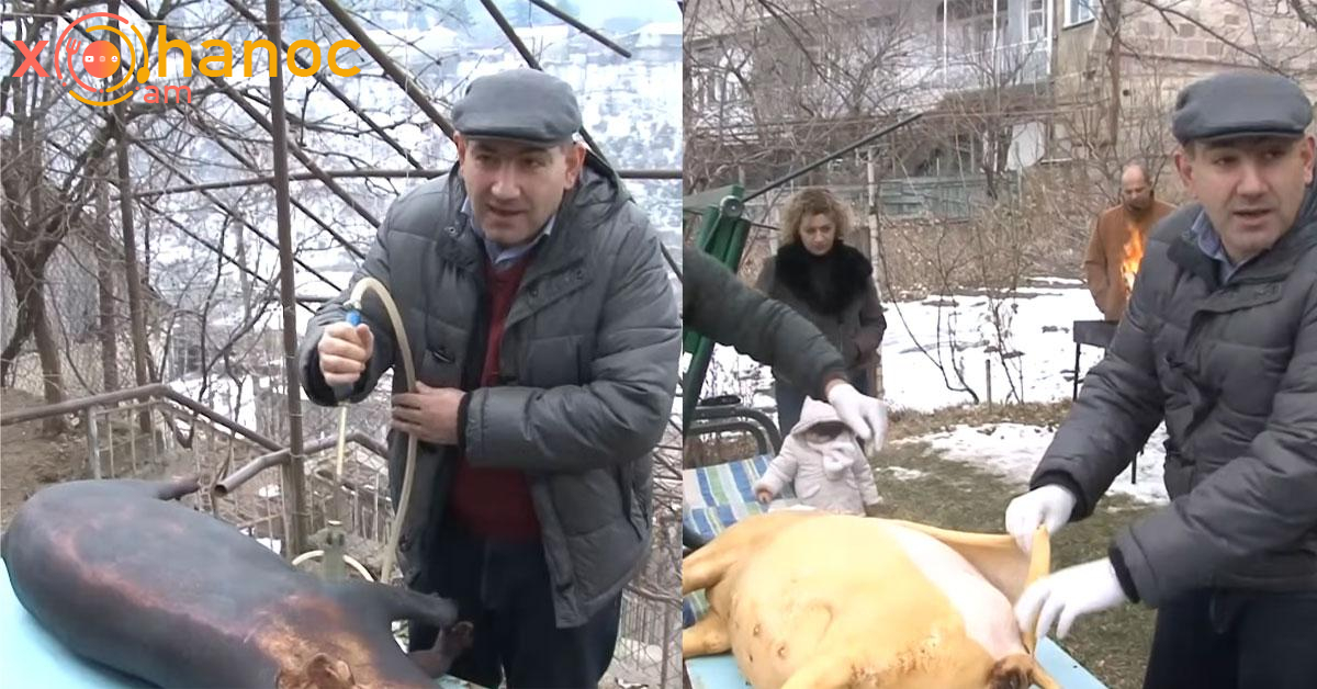 Բացառիկ տեսանյութ․ Ինչպես է Նիկոլ Փաշինյանը խոզը խանձում, կաշին հանում և միսը եփում