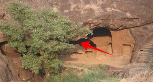 Վագրին հետապնդելով՝ նա թփերում պատահաբար ոչ մեծ քարանձավ հայտնաբերեց. ներս մտնելով՝ նա չհավատաց աչքերին 