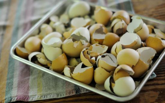 Կզարմանաք, երբ իմանաք այս մասին․ Ձվի կճեպը՝ որպես դեղամիջոց