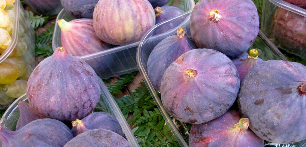 Այս բնական միջոցի շնորհիվ ազատվեք ողնաշարի, մեջքի և ոտքերի ցավից