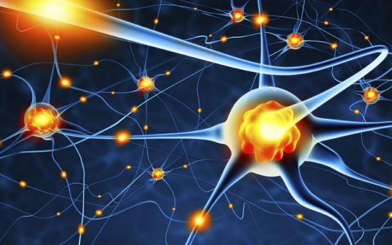 Նյարդային բջիջներն ամեն դեպքում վերականգնվում են