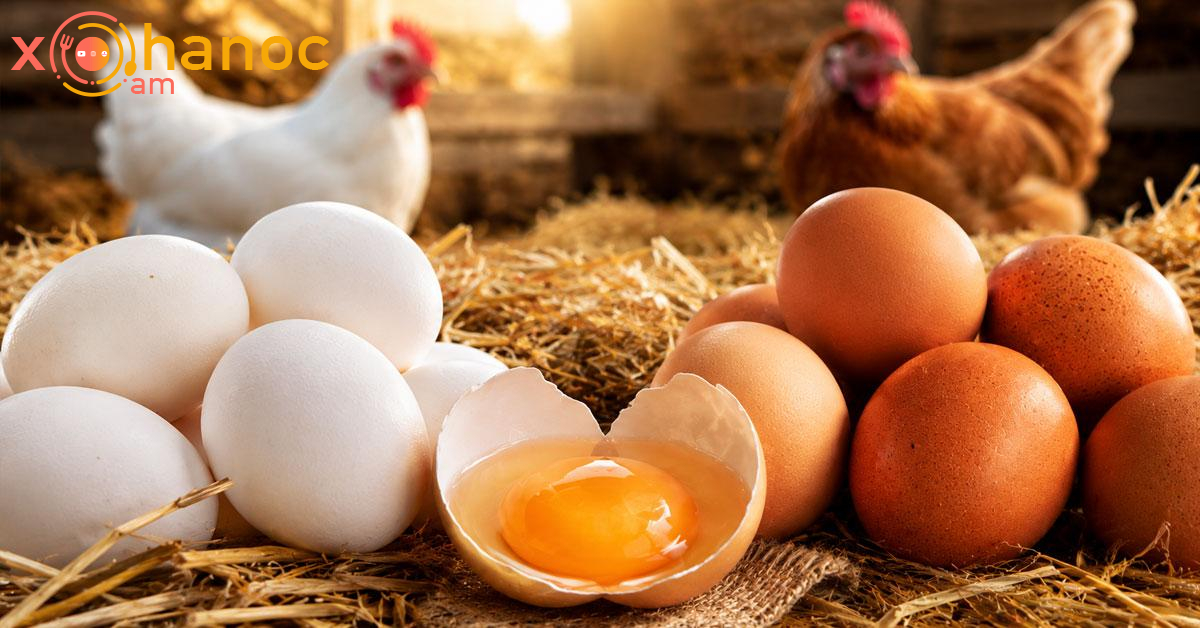Ինչու՞ են ձվերը տարբեր գույնի լինում