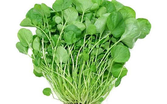 Շատ քչերը գիտեն այս բույսի առողջարար հատկությունների մասին․ Աշխարհի ամենաառողջարար բույսը