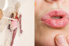 Շուրթեի ճաքելը և լեզվի վրայի սպիտակ ծածկույթը վկայում է այս հիվանդության մասին