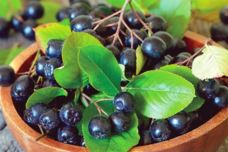 Հատապտուղ որը սպանում է կրծքի, լյարդի, ուղեղի, թոքերի և հաստ աղիքի չարորակ ուռուցքային բջիջները