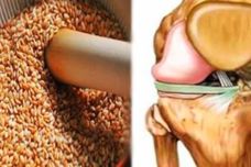 Այս սերմերը կվերականգնեն ջլերը, կվերացնեն ծնկների ցավը, կամրապնդեն իմունիտետը և կազատվեն ավելորդ քաշից Այս սերմերը կվերականգնեն ջլերը, կվերացնեն ծնկների ցավը, կամրապնդեն իմունիտետը և կազատվեն ավելորդ քաշից