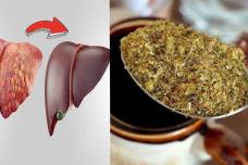 Սա բնական դեղ է լյարդի համար․ Բուժում է ծանր վիճակում գտնվող լյարդը ՝ մաքրելով ճարպն ու լյարդի հիվանդությունները