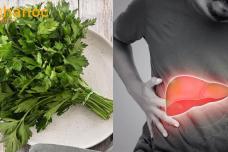 Այս կանաչին կբուժի ձեր լյարդը ու կմաքրի ճարպակալած լյարդը