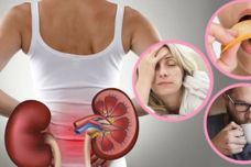 Երիկամների համար ամենավնասակար մթերքների ցանկը